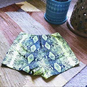 Dolls Kill Carmin Shorts